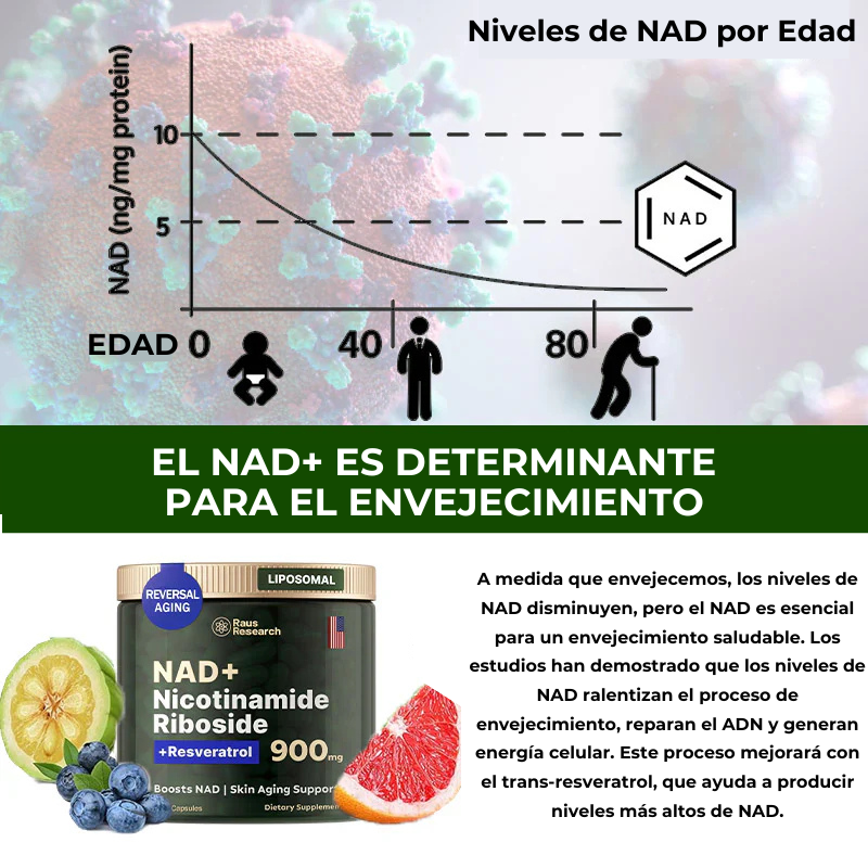 ActiveLife® NAD+ de Alta Pureza Anti-Envejecimiento