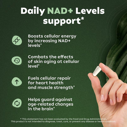 ActiveLife® NAD+ de Alta Pureza Anti-Envejecimiento TIENDA USA